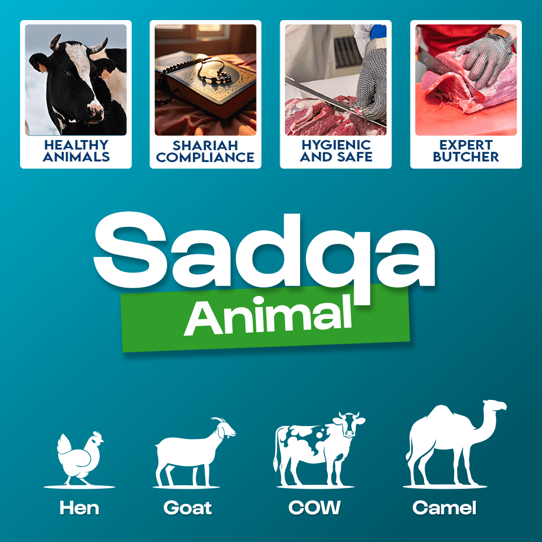 Sadqa animal thumb