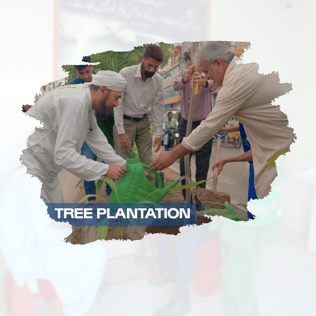 Tree plantation thumb